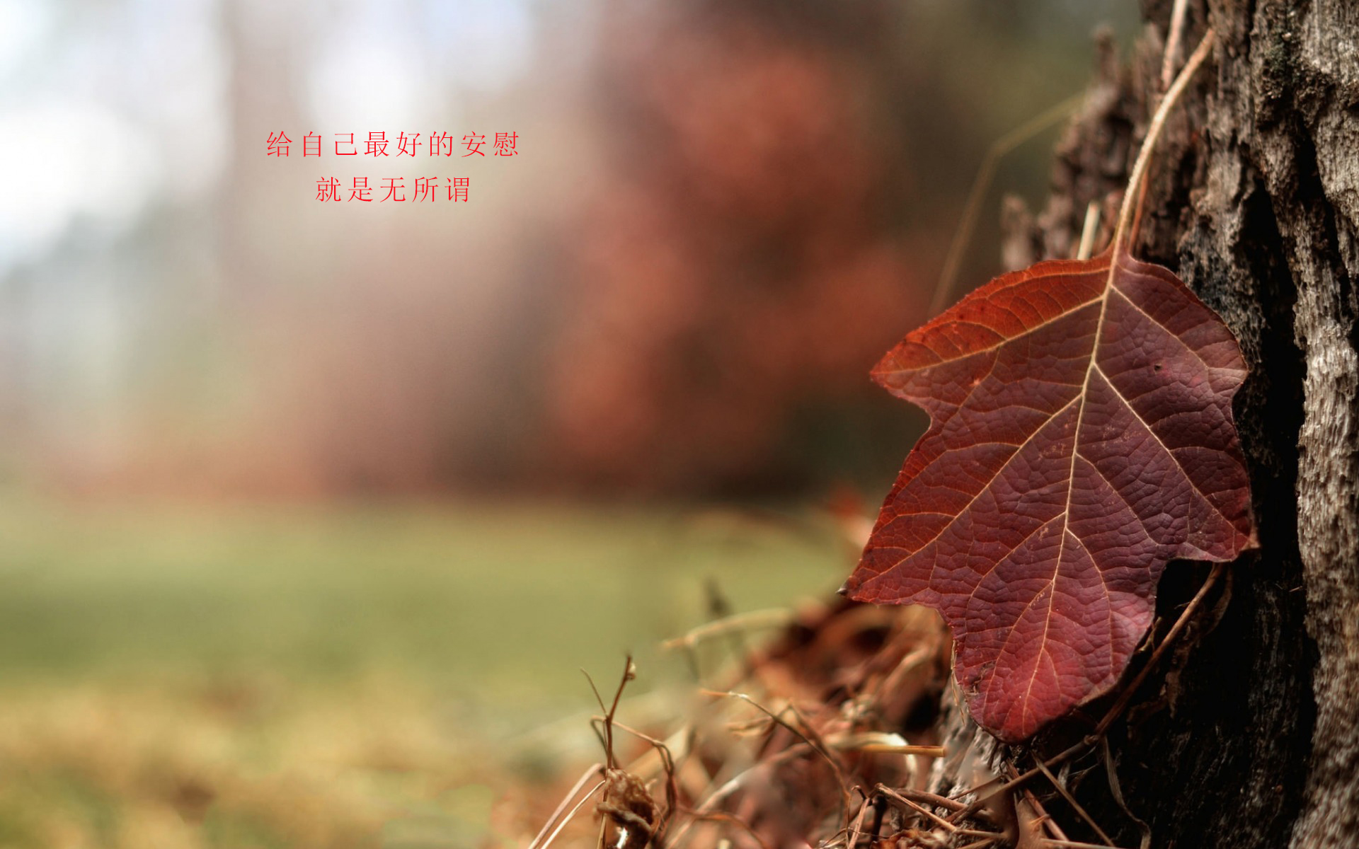 孤独寂寞唯美语录图片 哪一句深入人心