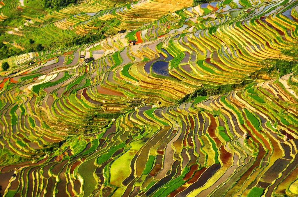 江西——百里梯田风光