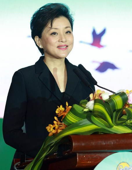 50岁杨澜黑色西装配纱裙 走路自带气场