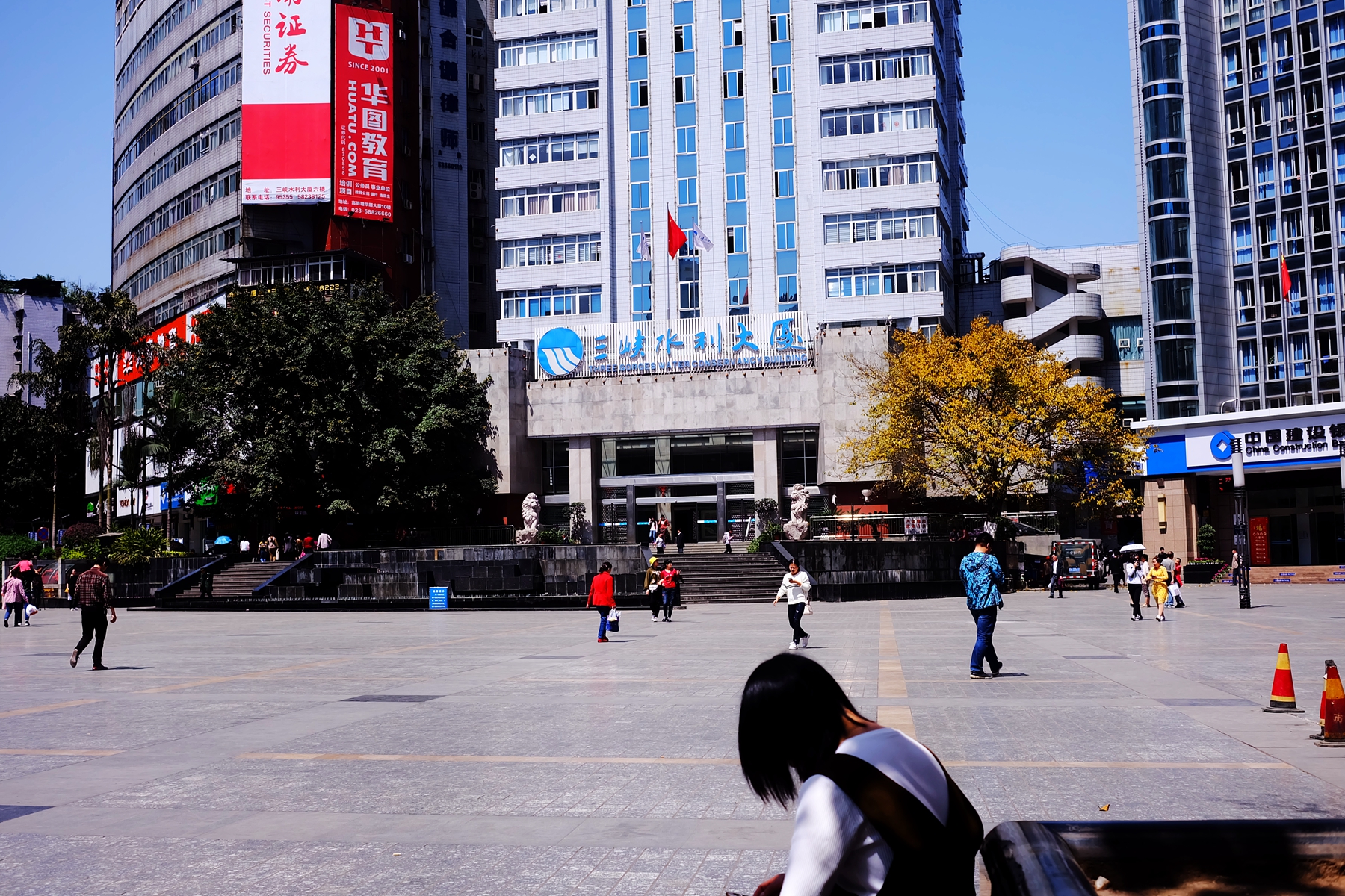 稀奇!万州高笋塘2棵树隔空恋爱,一个在春天一个在秋天!