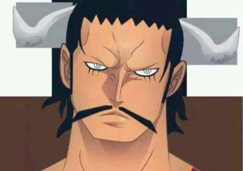 海贼王:四皇年轻时的样子,黑胡子意外的帅,大妈是大美女