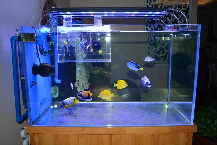 盘点公认的六大"镇宅之宝"家里至少也要放一个,你家里有吗?