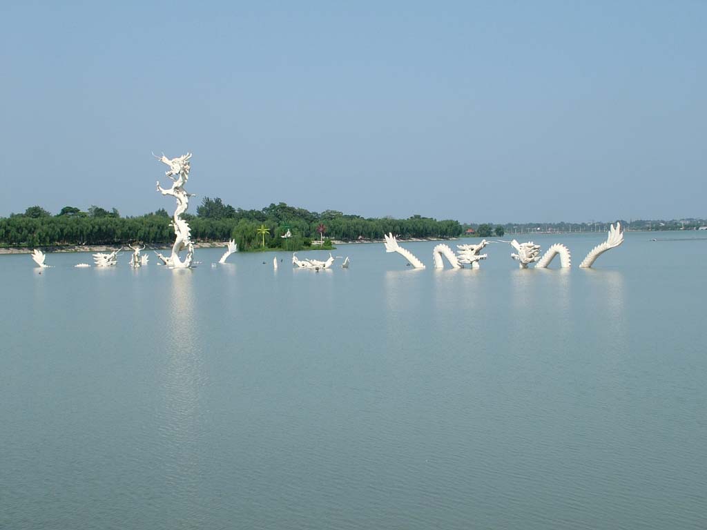 周口有三个国家湿地公园,着力打造水生态城市