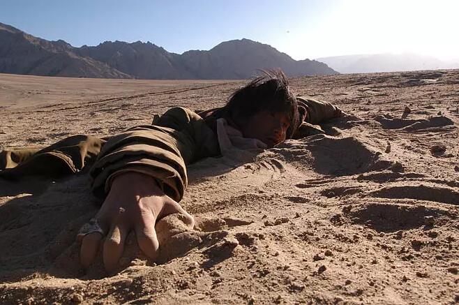 豆瓣高分电影《可可西里》,一部关于生命与信仰的电影