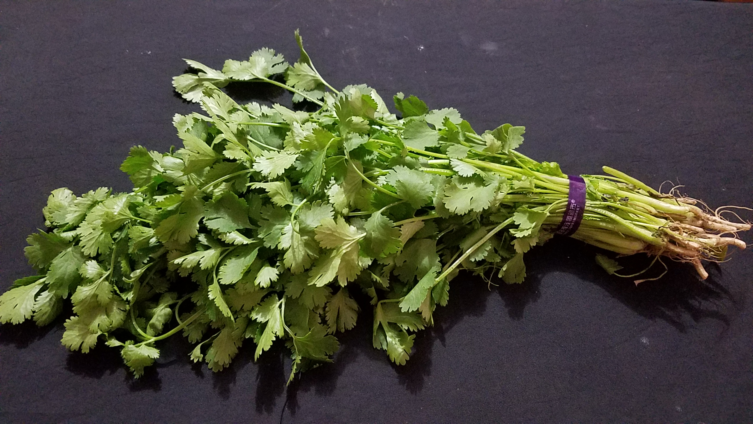 香菜这样保存,放1年都不会坏,看完这个视频,赶紧试试吧