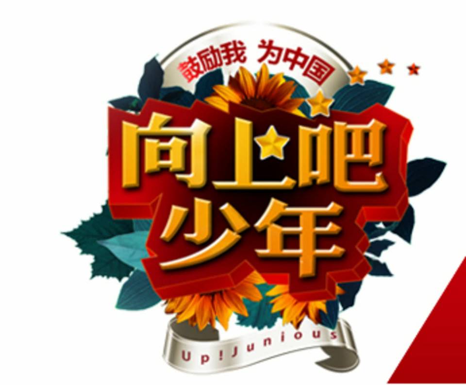 向上吧少年,错过了整个世界,易烊千玺王俊凯鞠婧祎全都落选!