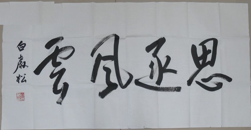 白岩松书法:风格不统一,形态多样,这是为什么呢