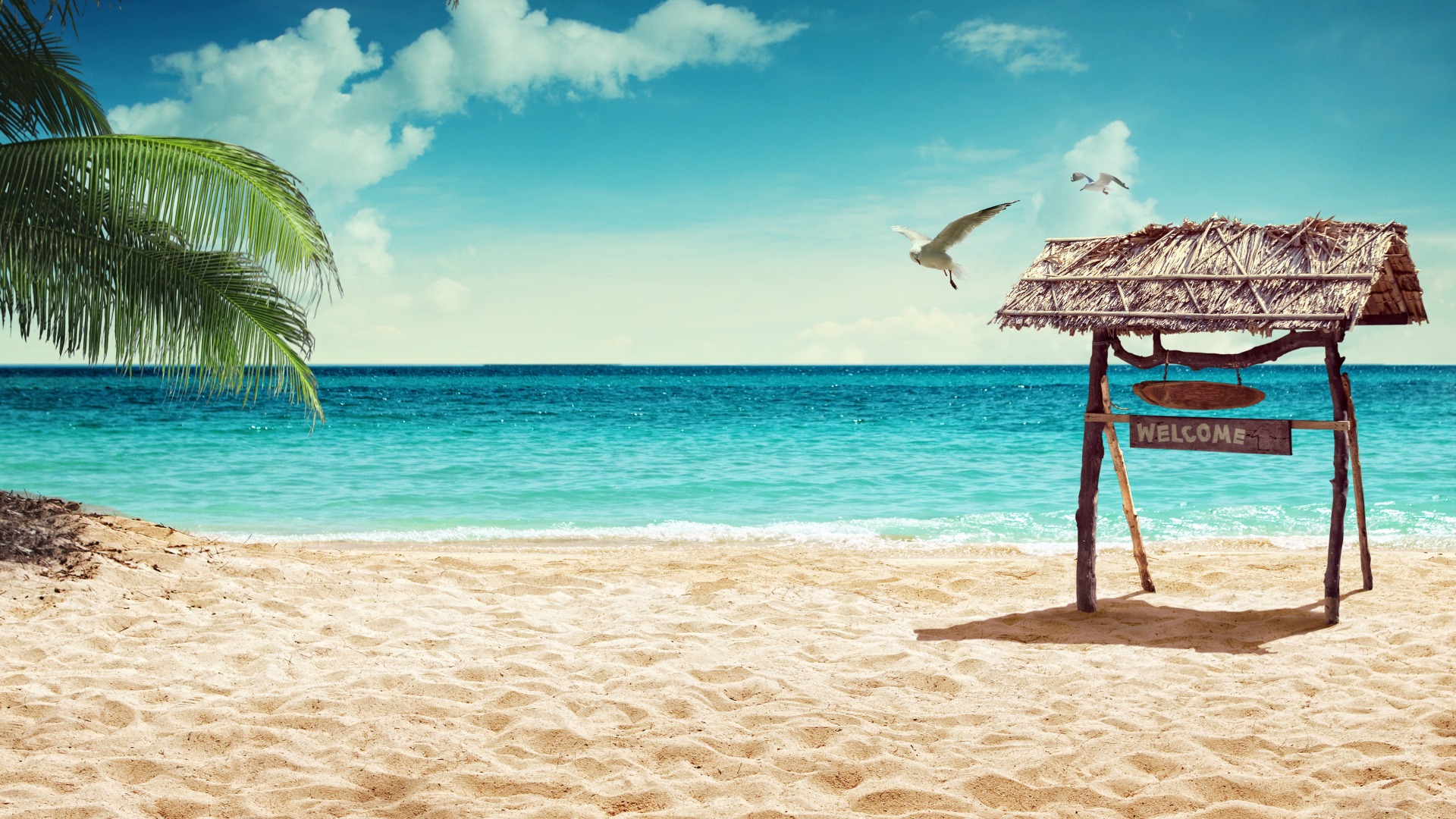 从海边来 带着阳光和海的味道 夏日沙滩享受日光浴图片壁纸