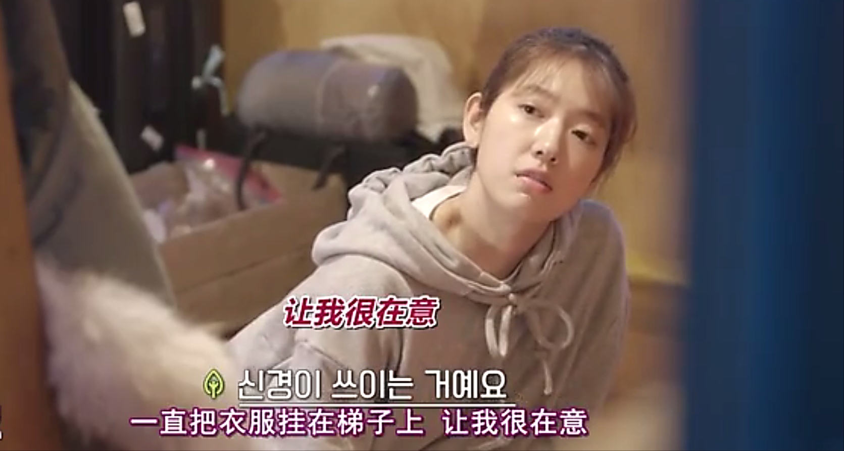 慢综艺《林中小屋》朴信惠苏志燮幸福实验,女神深夜锯木头治愈你