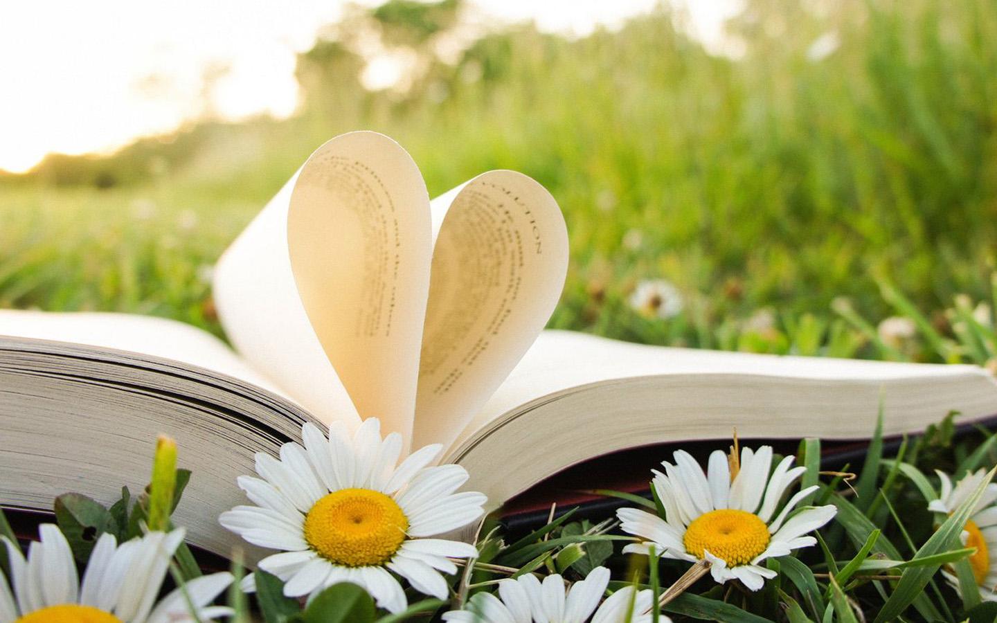 《股票作手回忆录》里很重要的几句话,值得投资者思考