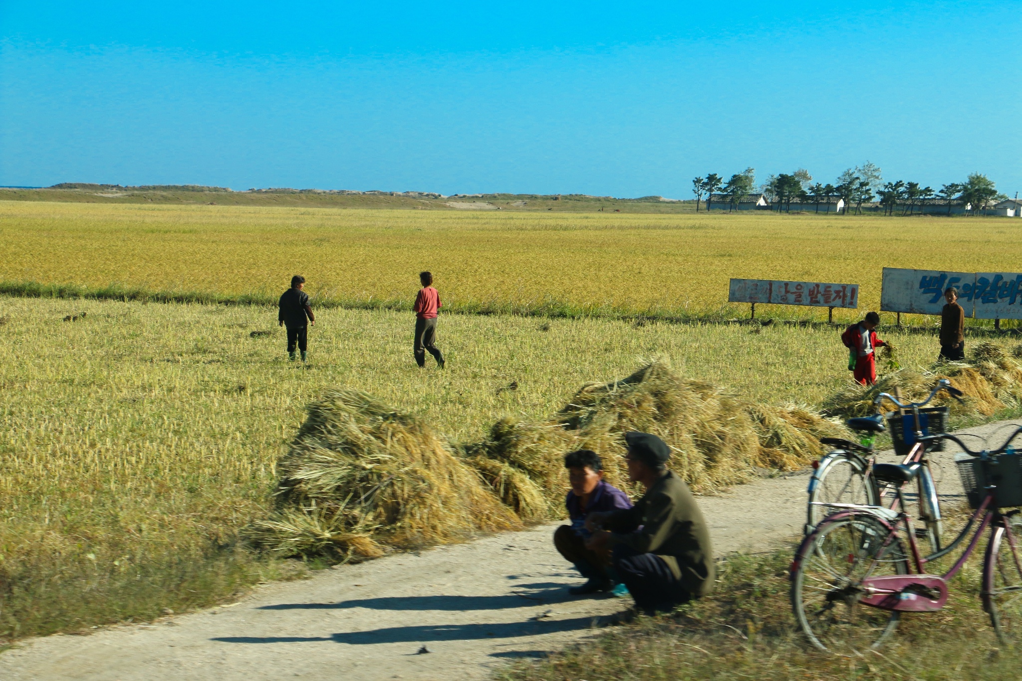 实拍平壤之外的朝鲜农村,感受朝鲜农民真实的普通生活