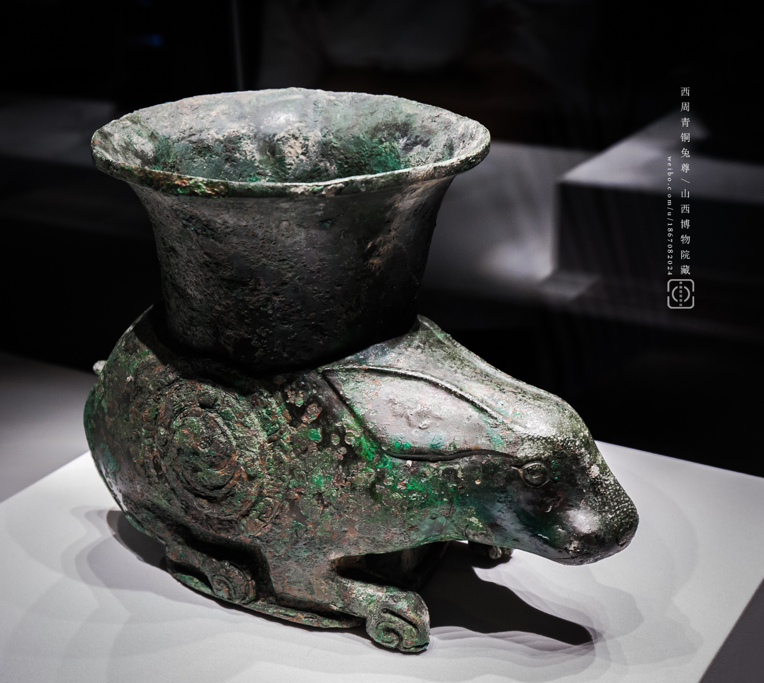 实拍青铜界的小萌兔之晋侯墓地兔尊