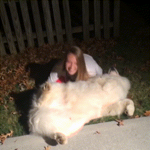 300_300gif 动态图 动图