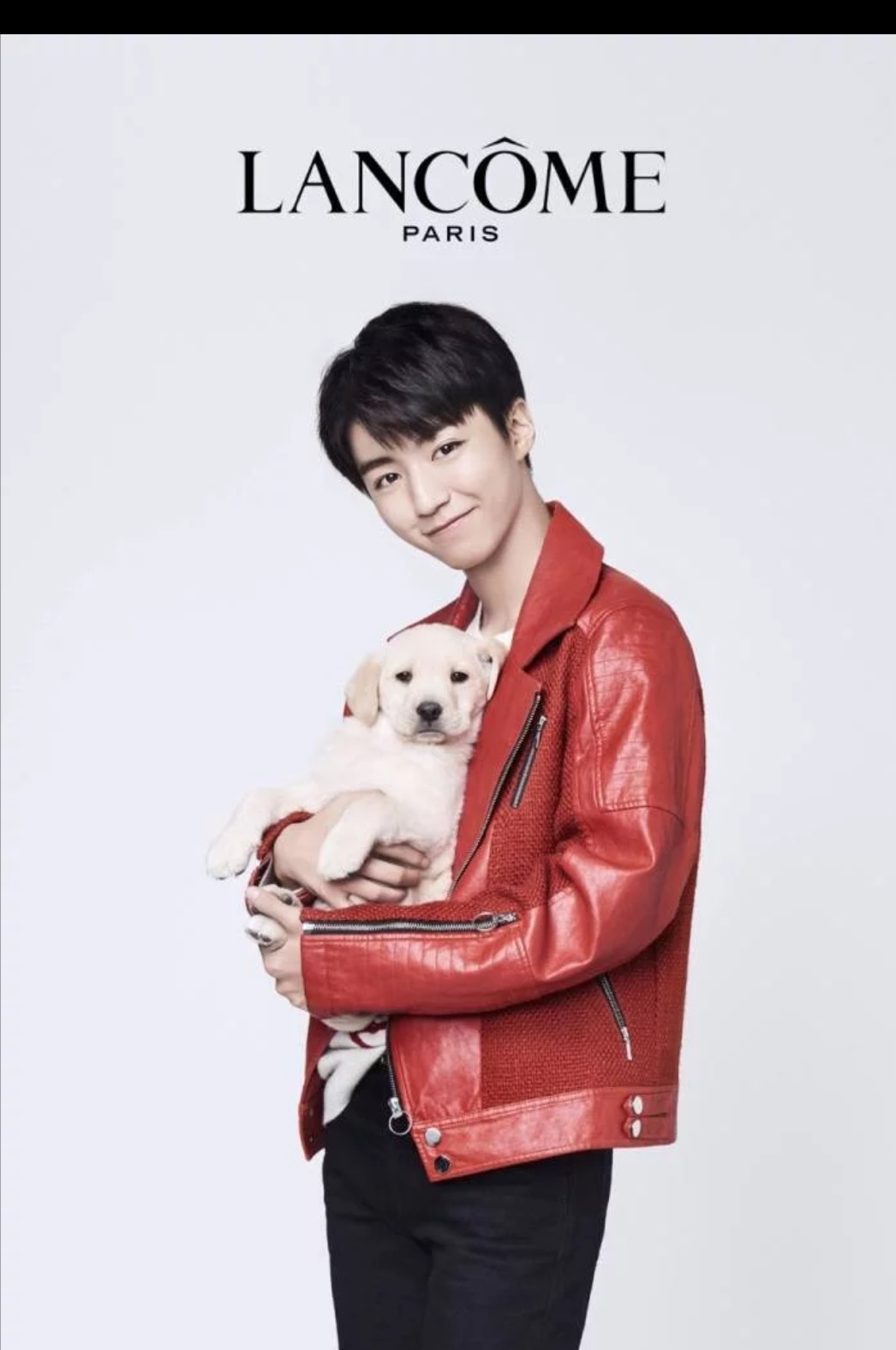 明星也爱养宠物,易烊千玺化身猫奴,王俊凯领养小奶狗