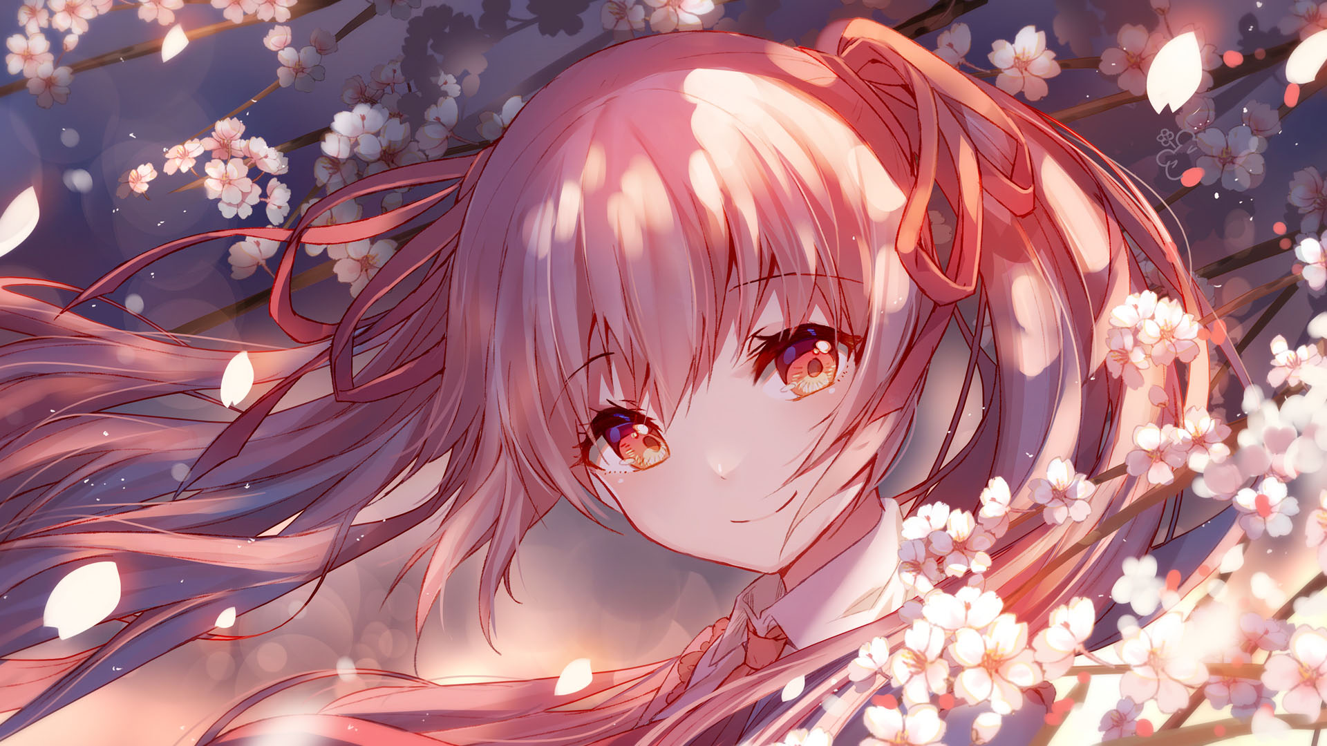 13张唯美的樱初音壁纸,没有哪个少女心能对这样的初音不心动!