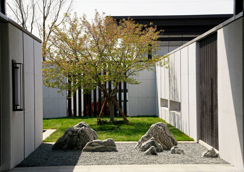 《天泰·桃花源丨千呼万唤始出来,桃源面纱终揭开!》