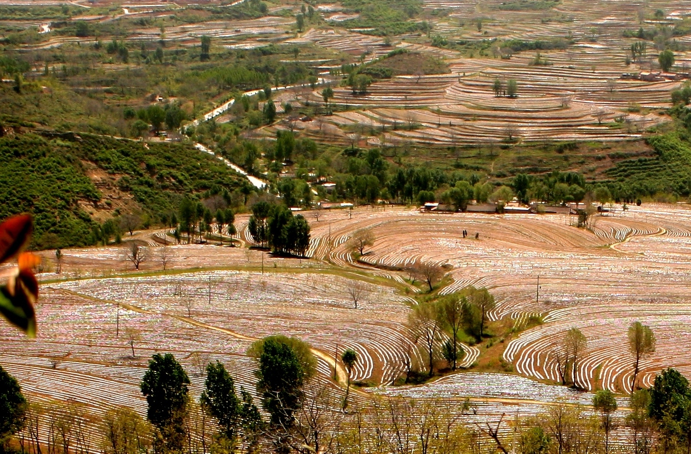 宜君县哭泉旱作梯田气势壮美磅礴