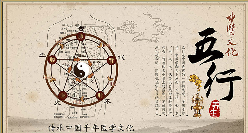 传统中医人体阴阳体质四分法