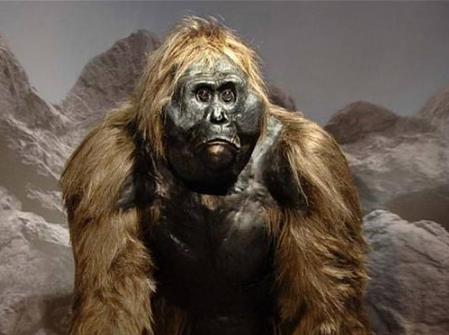 盘点5大未知生命体,第3种在中国曾经有人捕获到