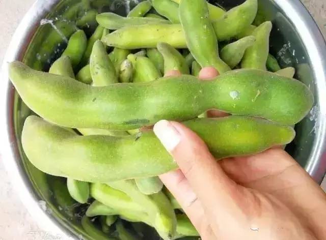 南方农村一种个头很大的豆子,生吃有毒,煮熟后是一道补肾美味