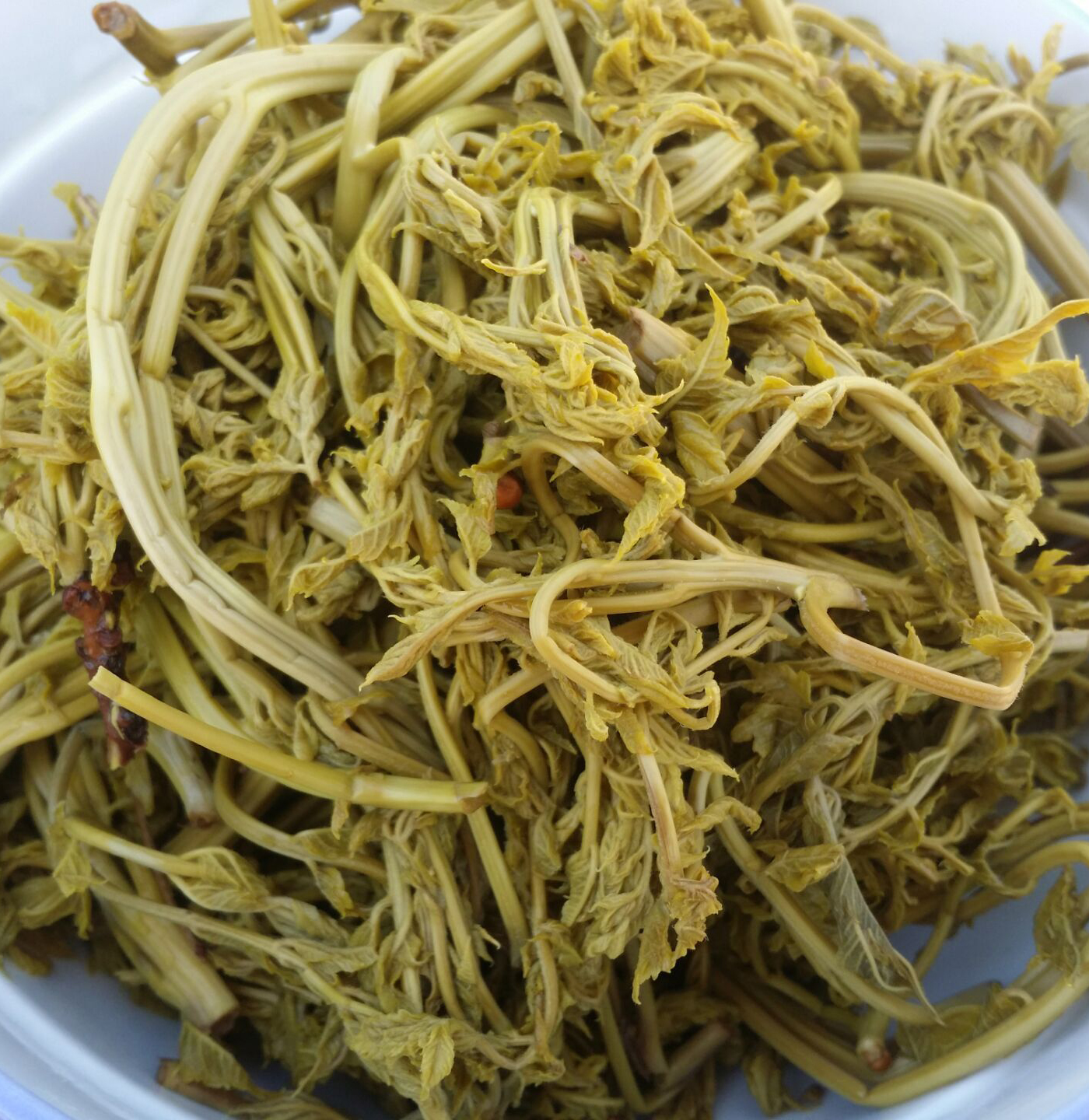 农村这种美味,长在树梢上,很多人用它来强身健骨,你吃过吗?