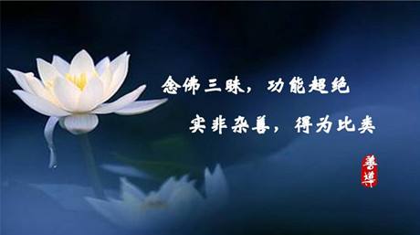 张国立用毛笔抄写《金刚经》功德最不可思议