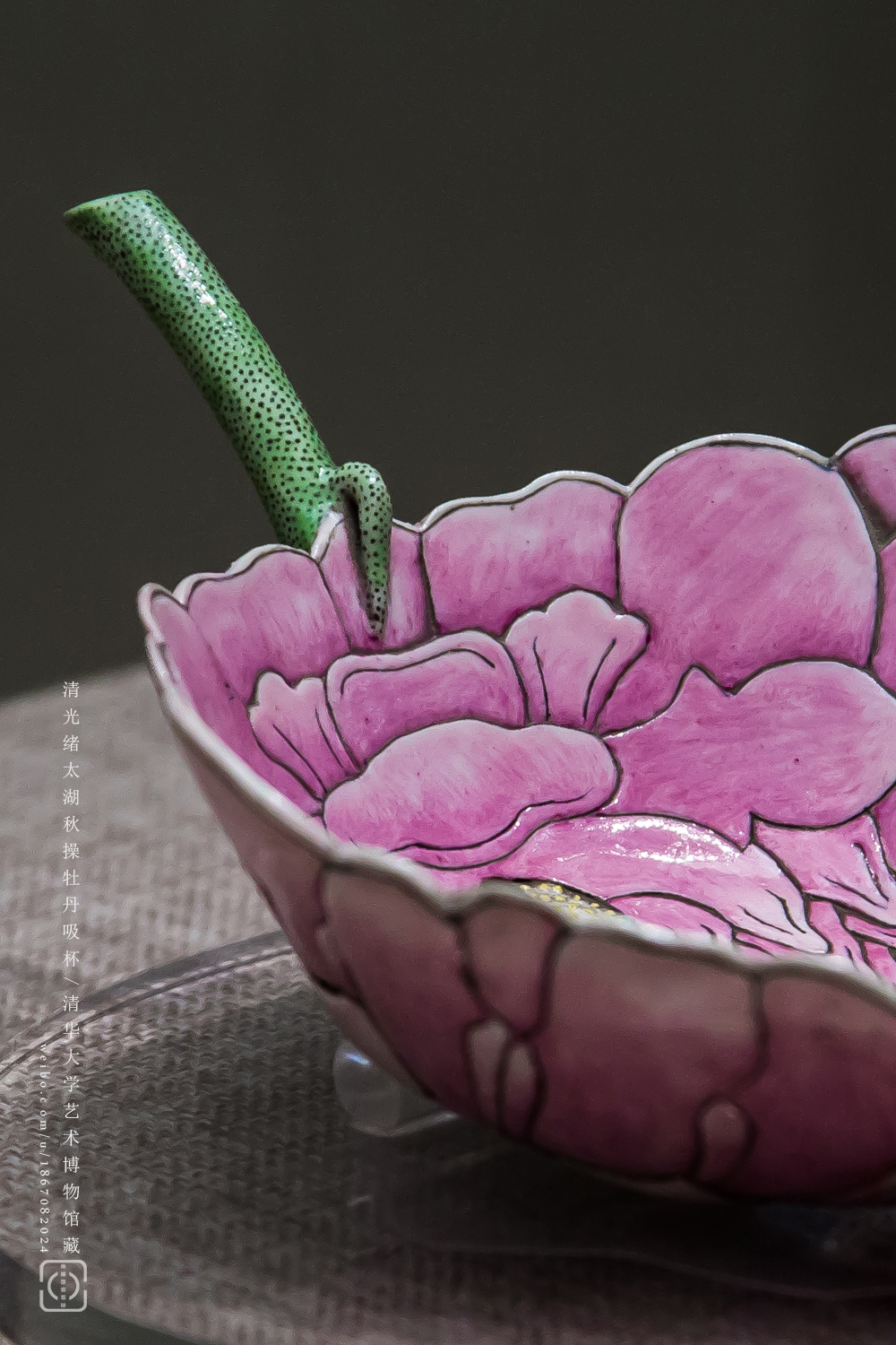 叹为观止,实拍清光绪太湖秋操牡丹吸杯
