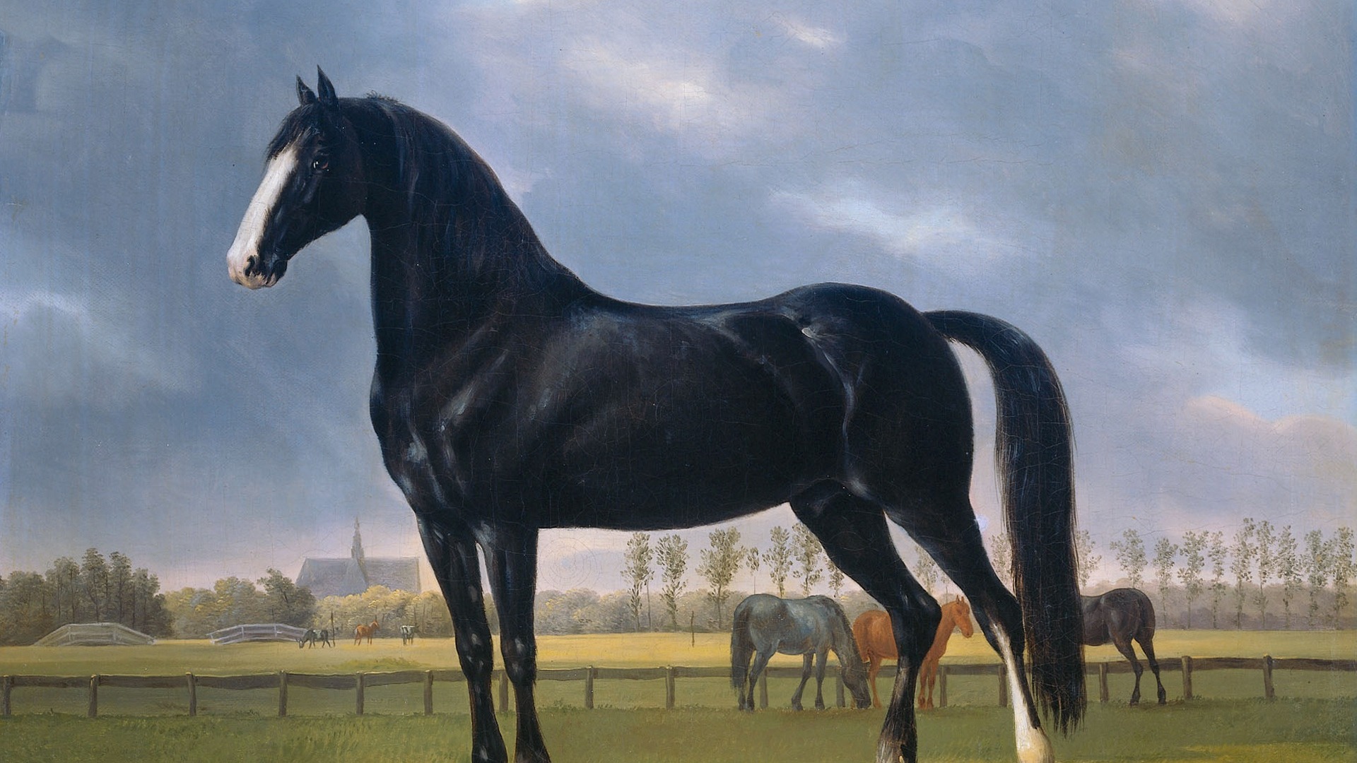 帅气马儿奔跑壁纸 马是一种非常聪明的动物 拥有惊人的长期记忆力