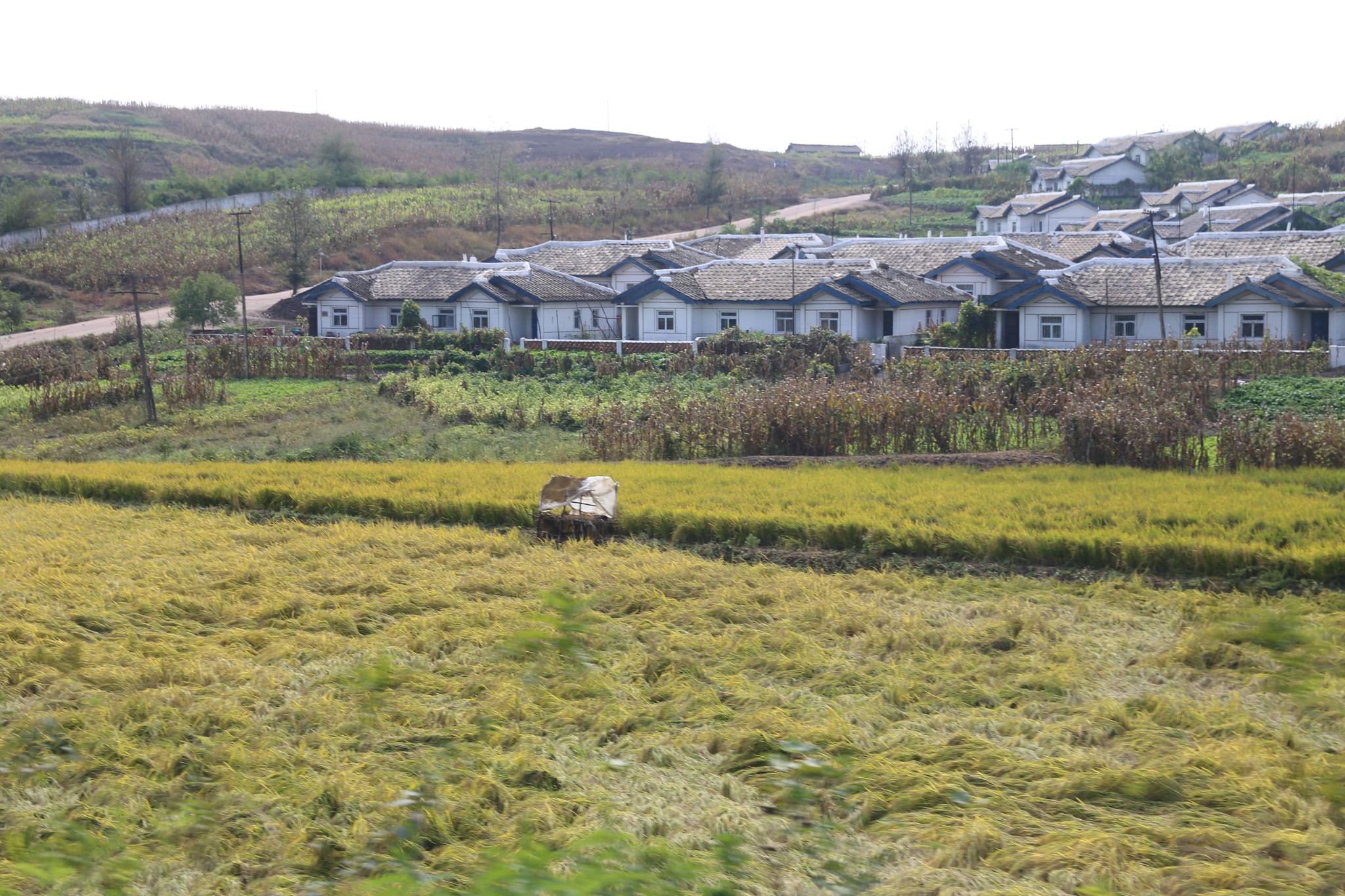 实拍朝鲜:看看镜头下真实的朝鲜农村!