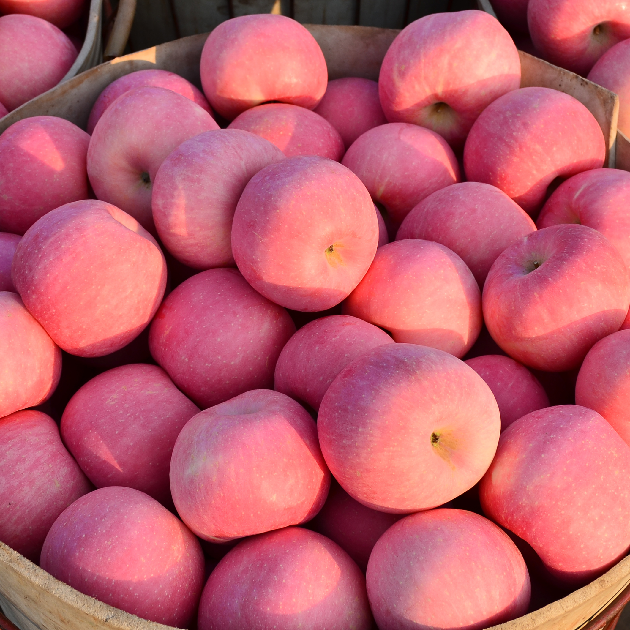 这四样东西,挺好吃的,而且吃多了,对身体也好