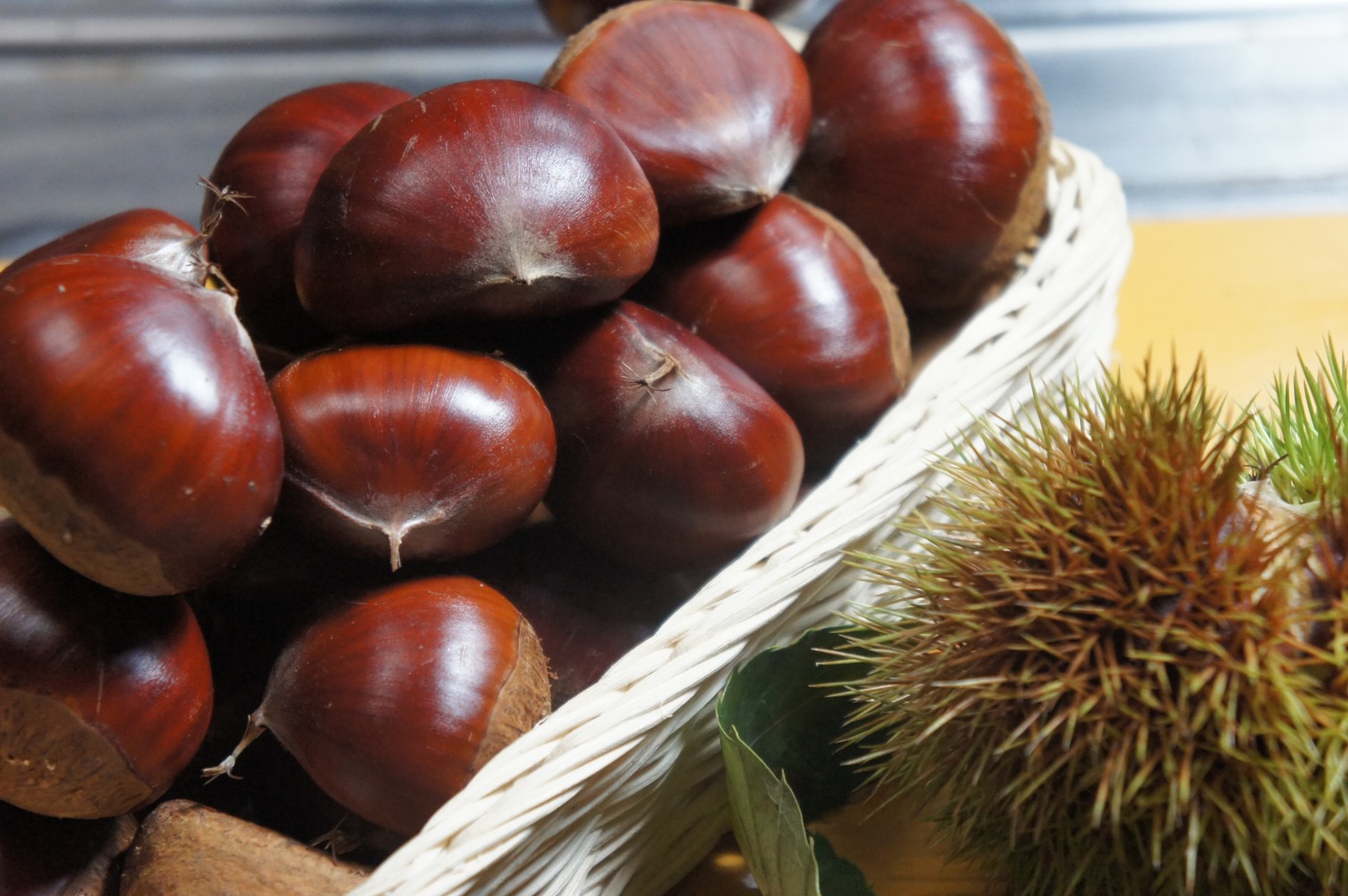 生活中常吃的每一样食物,其实都是补品,你们相信吗?