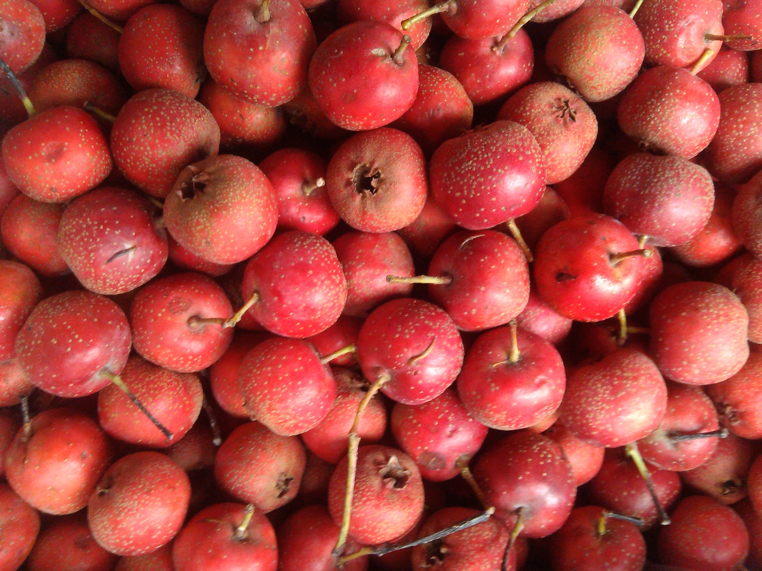 山楂不仅好喝,而且还能减压,你们知道吗?