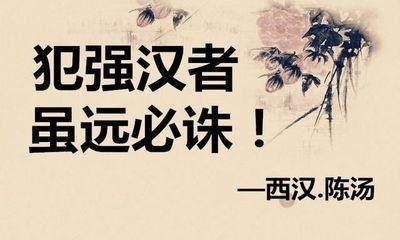 儒以文乱法,侠以武犯禁,这才是真正的历史架空小说