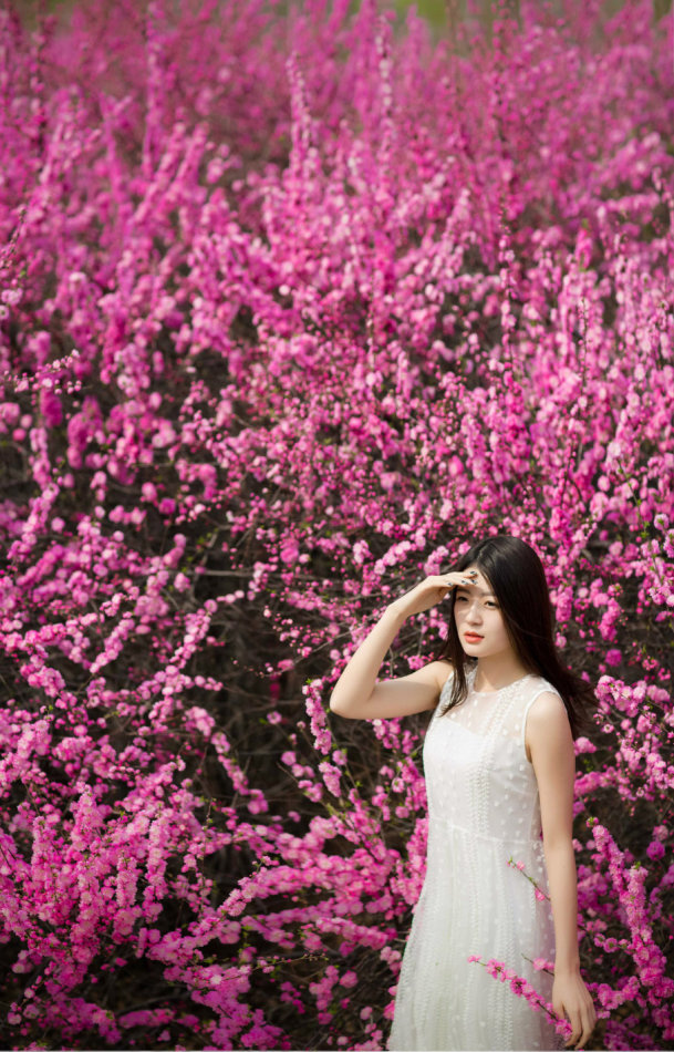 桃花的样子 美女照片图片