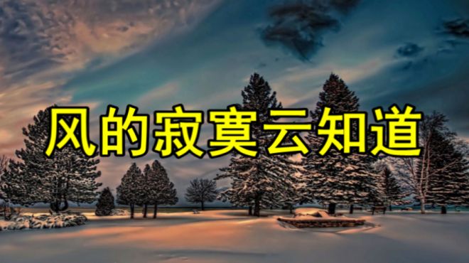 [图]《风的寂寞云知道》我的寂寞又有谁知道，一颗漂泊的心无处依靠！