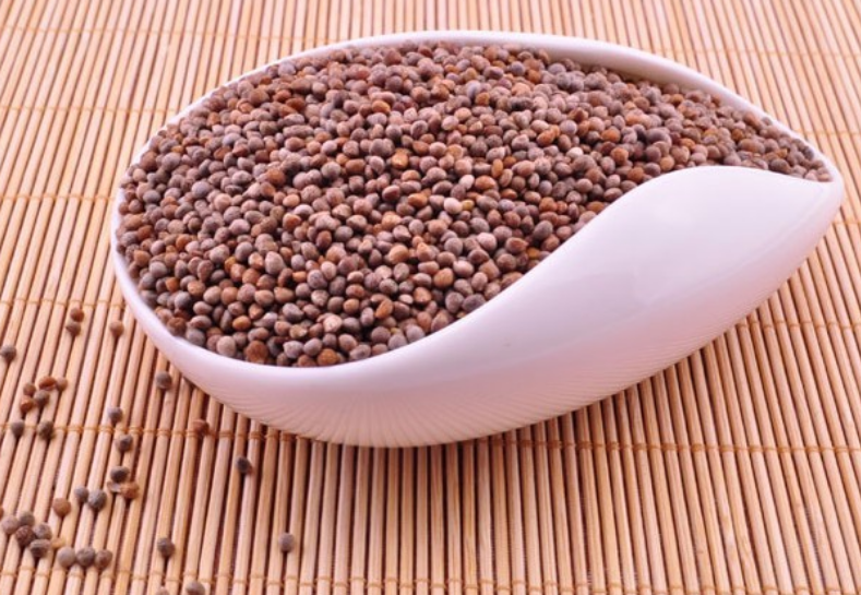 苏子有保肝功效,了解一下!