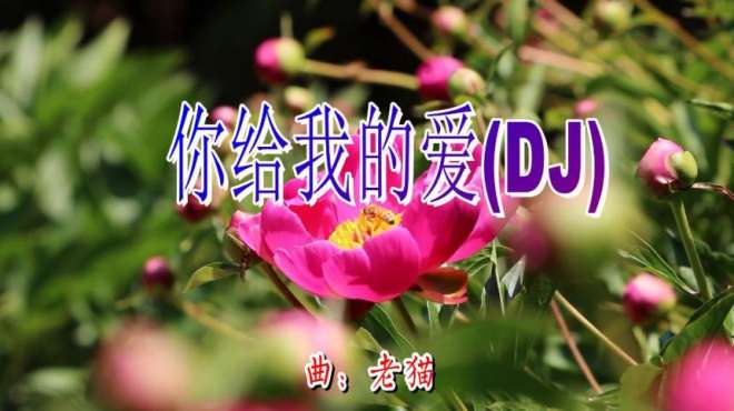 [图]一首超好听的DJ舞曲《你给我的爱》节奏动感，太多人设成手机铃声