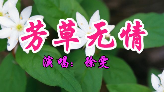 [图]经典情歌，徐雯一首《芳草无情》好听极了