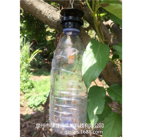 自制果蝇诱捕器的防治原理