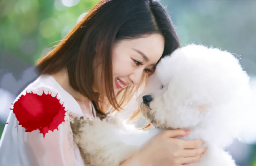 赵丽颖带狗狗"毛球"拍广告,网友:这宠溺的眼神,太萌了