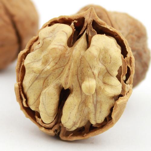 商洛核桃,历史悠久,分布广泛