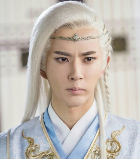 娱乐圈男星的白发造型:图一95分,图三85分,而他给200分都不够