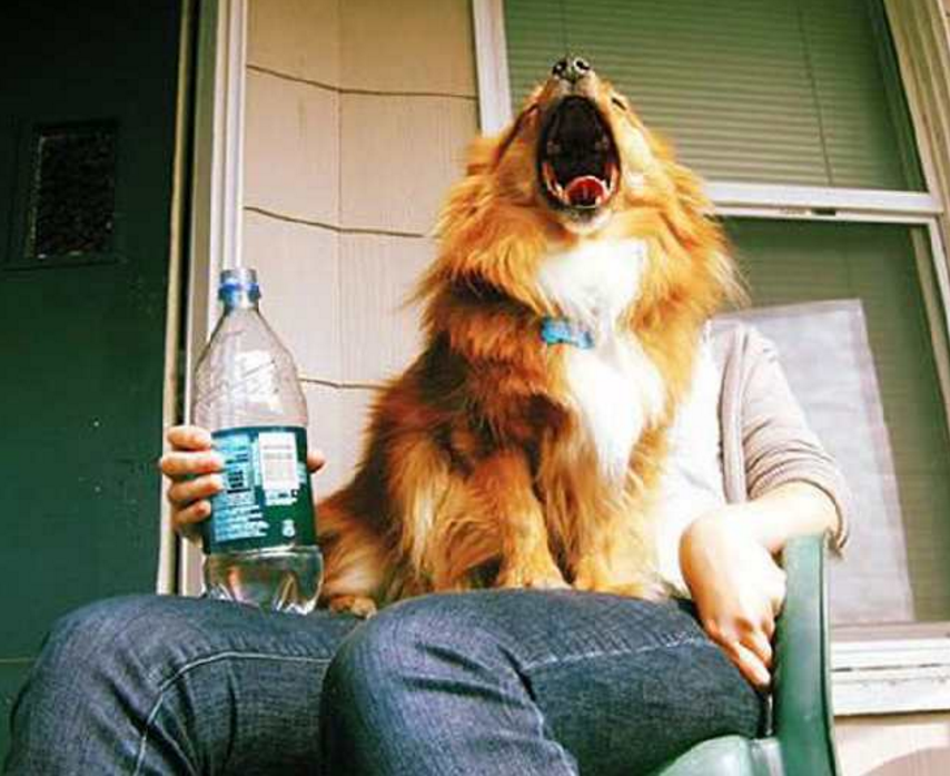 盘点奇葩搞笑的"错位图",最后一张必须笑出来!