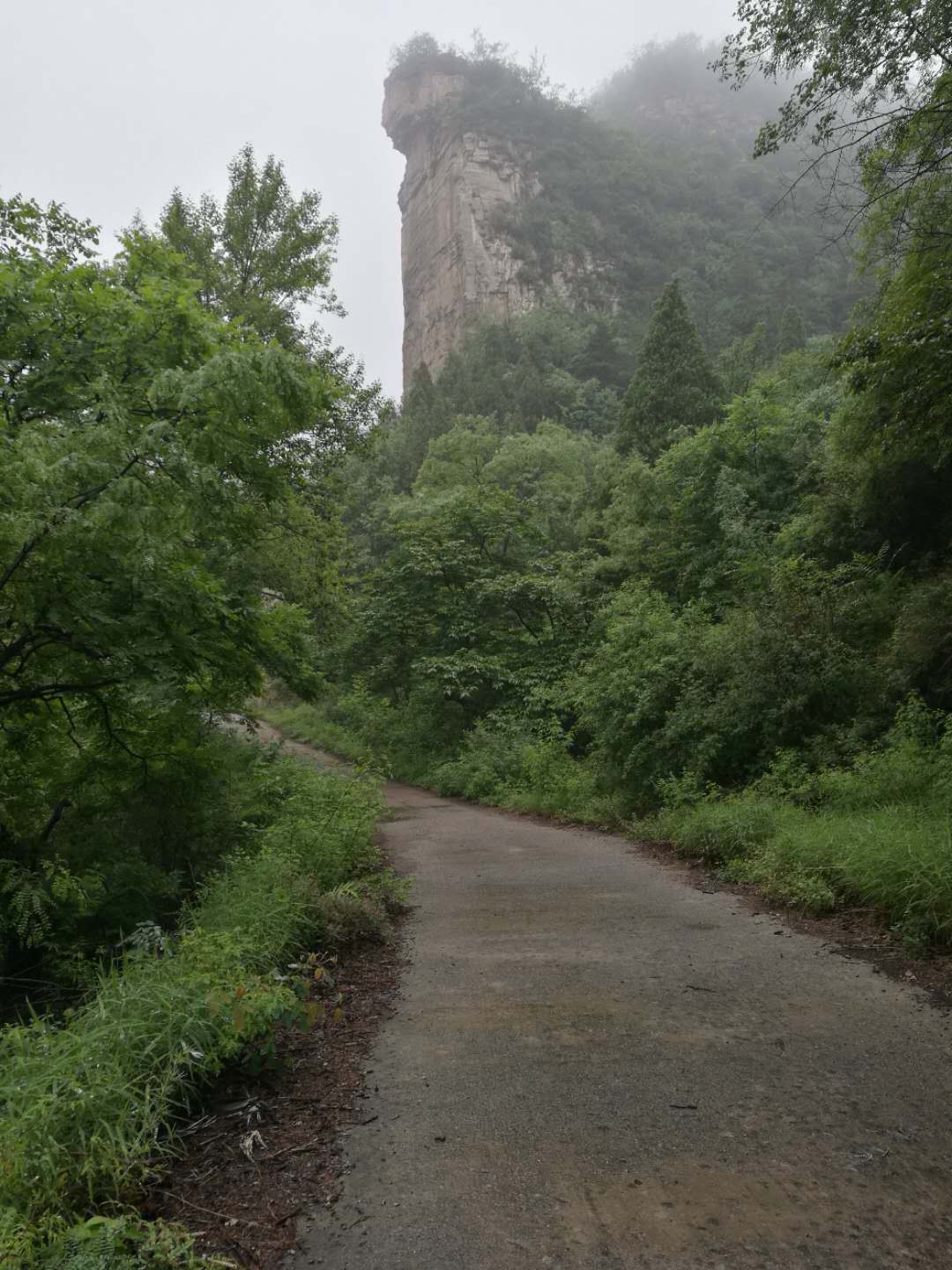 涉县黄花山图片