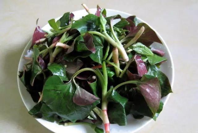 女人经常吃这5种食物,抑菌消炎,活血调经,还能预防妇科炎症