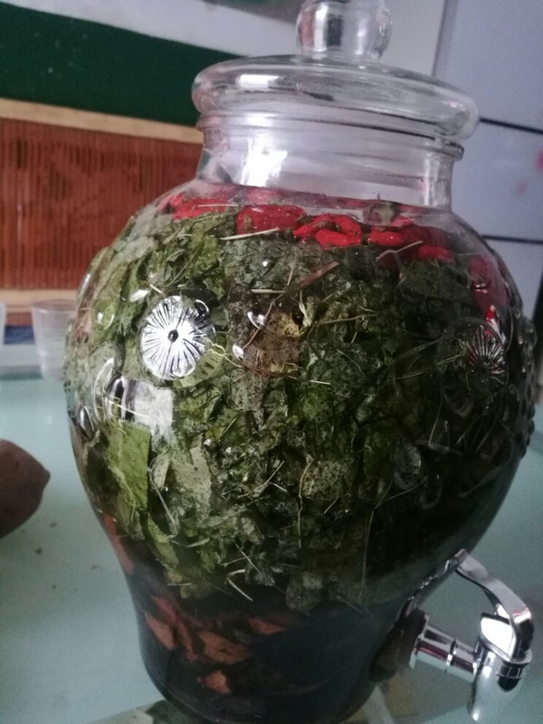 用淫羊藿泡酒喝,坚持半个月,感觉整个人都变了!