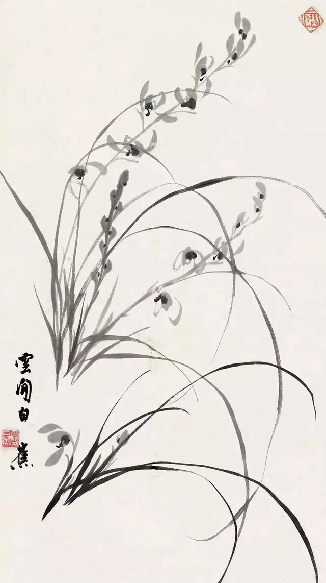 白蕉笔下的兰花,飘逸幽香!