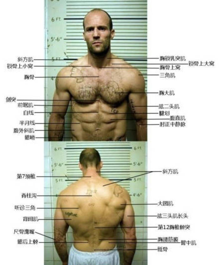 杰森·斯坦森(jason statham)肌肉照