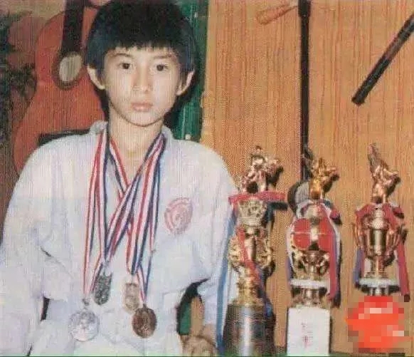 明星八卦篇(一)——明星的极致爱好