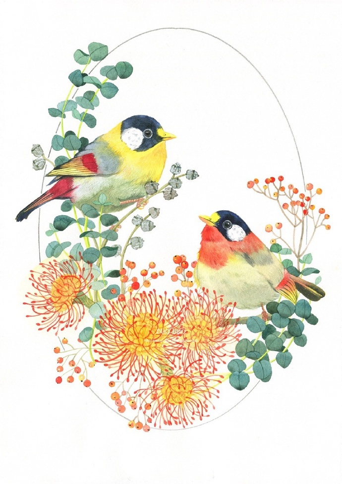 花卉水彩画入门一步一步教,著名画师花卉水彩欣赏